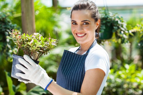 Tree surgery business reviewing service improvement notes