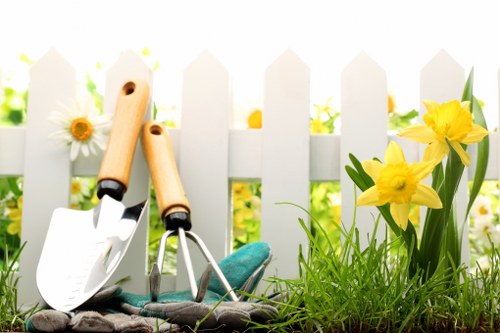 Tree reduction service for a residential garden in Dulwich