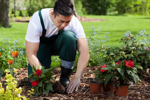 PCI-compliant Tree Surgeons Dulwich payment system with secure processing