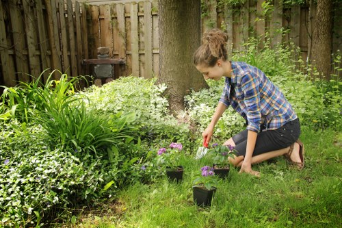 Tree waste sorted for charity reuse and recycling